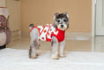 Load image into Gallery viewer, Dog Recovery Suit
