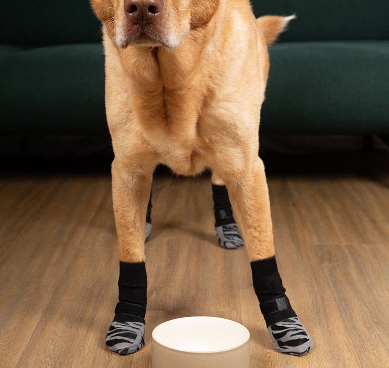 Non-Slip Dog Socks for Hardwood Floors video review preview