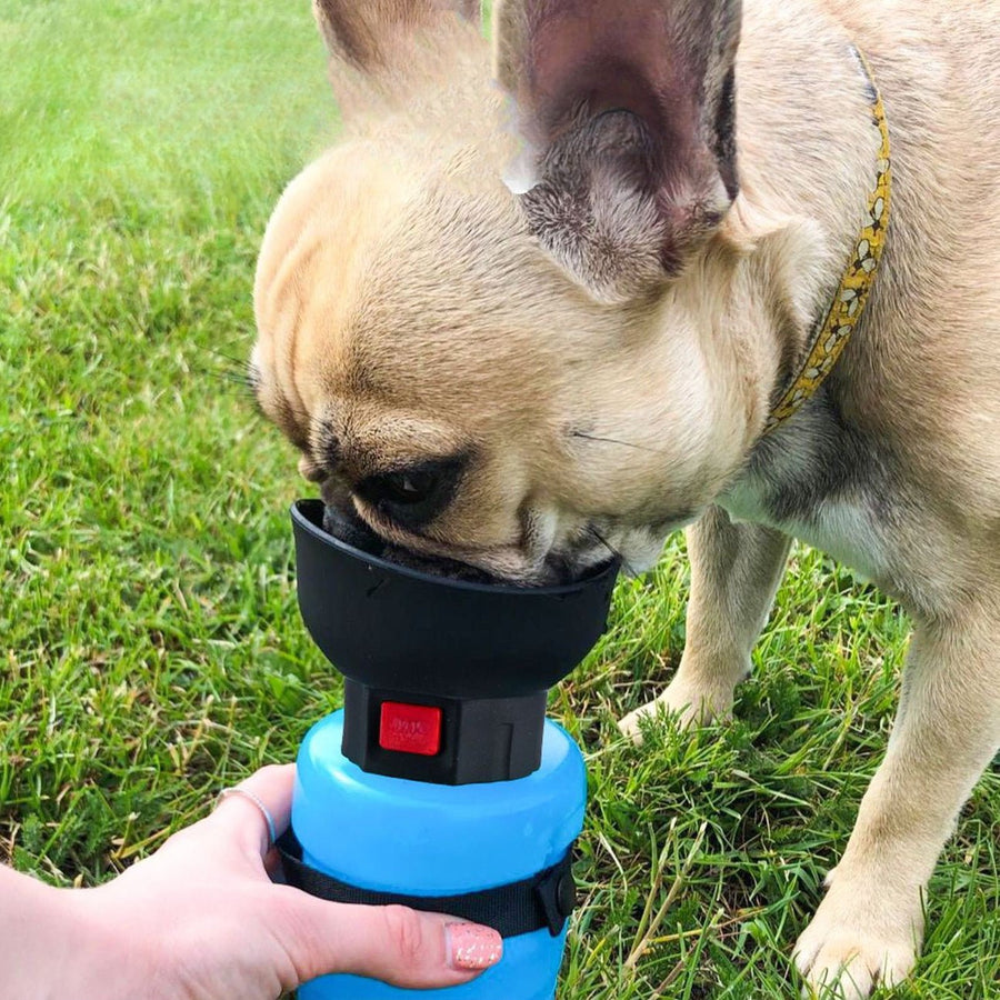 520ML Portable Dog Water Dispenser video review preview