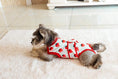 Load image into Gallery viewer, Dog Recovery Suit
