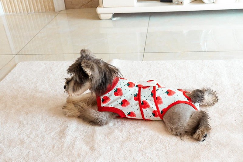 Dog Recovery Suit