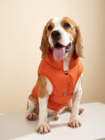 Load image into Gallery viewer, Windproof Dog Winter Coat
