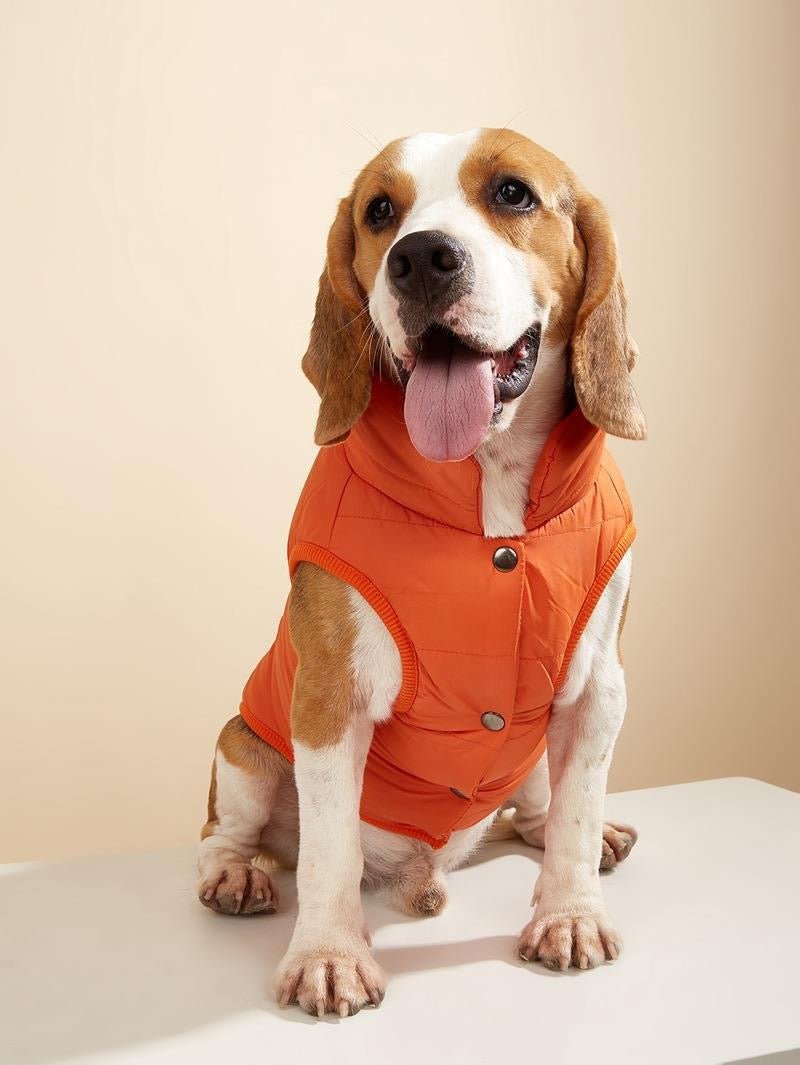 Windproof Dog Winter Coat