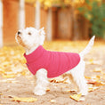 Load image into Gallery viewer, Windproof Dog Winter Coat
