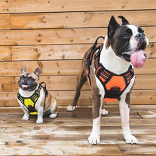 No-Pull Pet Harness with 2 Leash Clips