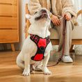 Load image into Gallery viewer, No-Pull Pet Harness with 2 Leash Clips
