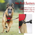 Load image into Gallery viewer, No-Pull Pet Harness with 2 Leash Clips
