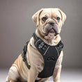 Load image into Gallery viewer, No-Pull Pet Harness with 2 Leash Clips

