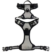 No-Pull Pet Harness with 2 Leash Clips