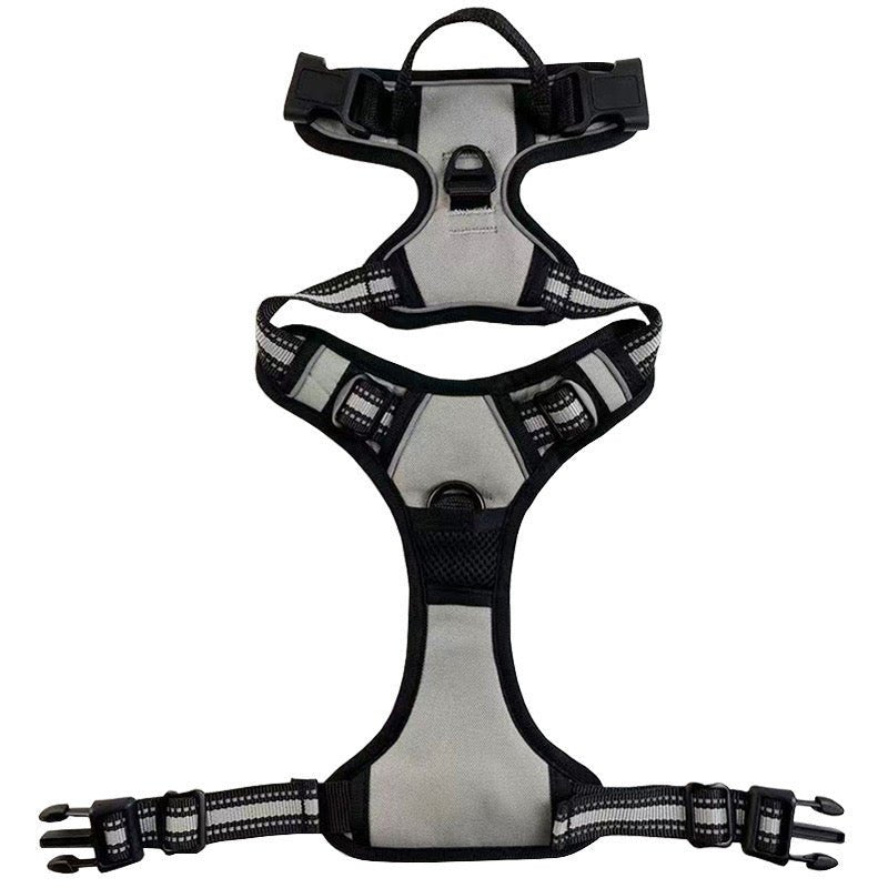 No-Pull Pet Harness with 2 Leash Clips
