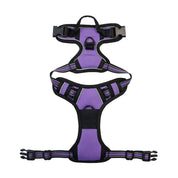 No-Pull Pet Harness with 2 Leash Clips