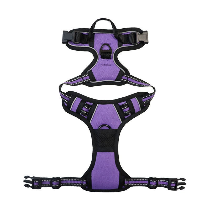 No-Pull Pet Harness with 2 Leash Clips