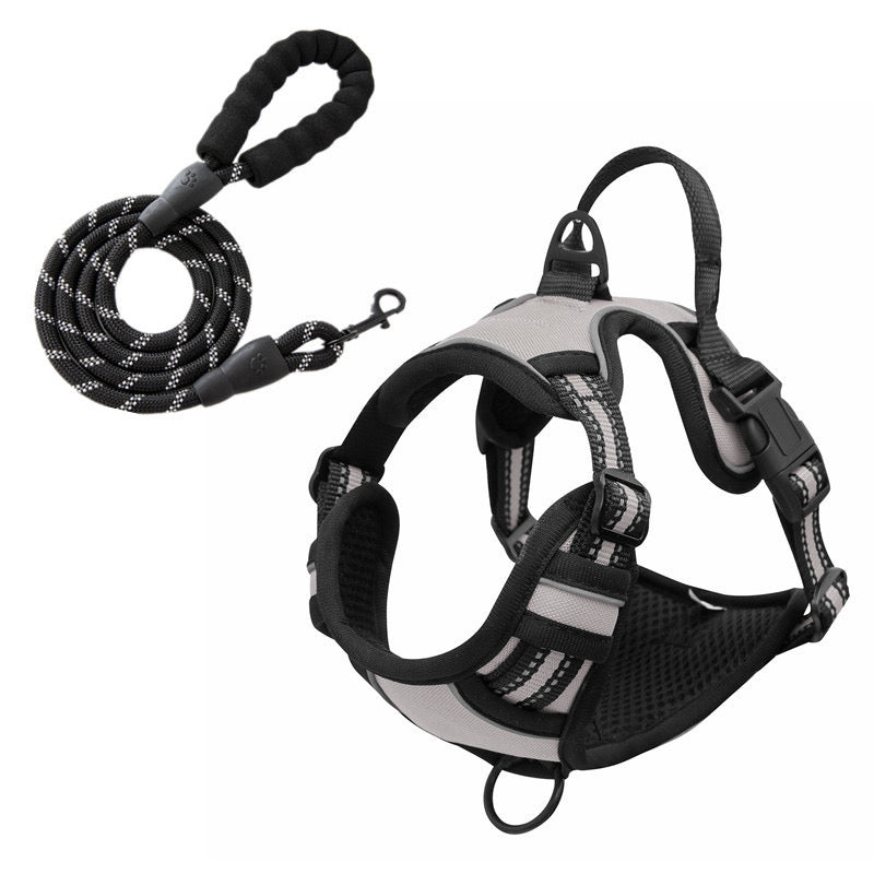 No-Pull Pet Harness with 2 Leash Clips