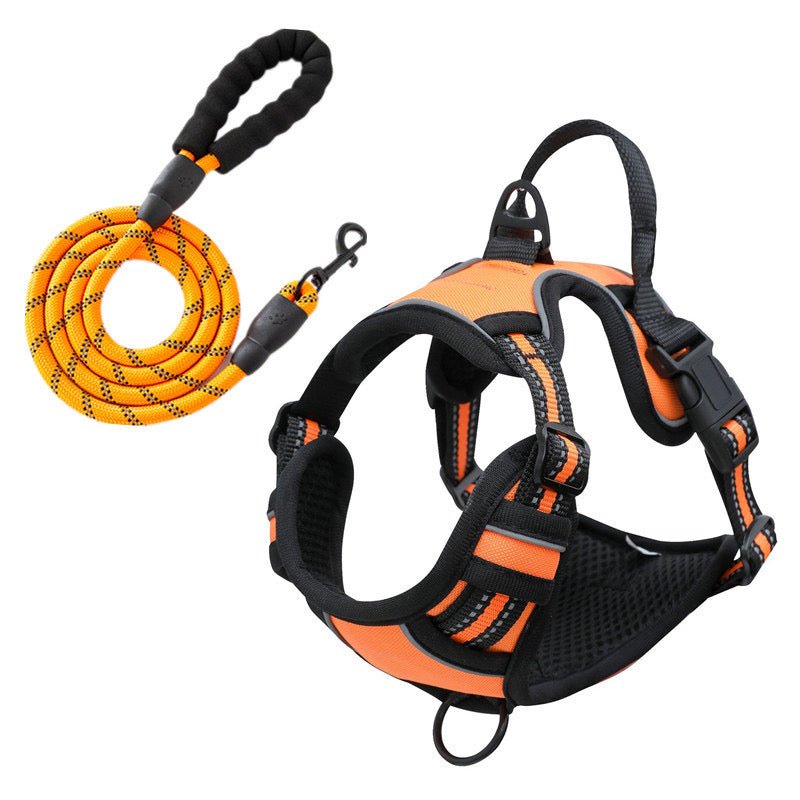 No-Pull Pet Harness with 2 Leash Clips