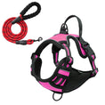 Load image into Gallery viewer, No-Pull Pet Harness with 2 Leash Clips
