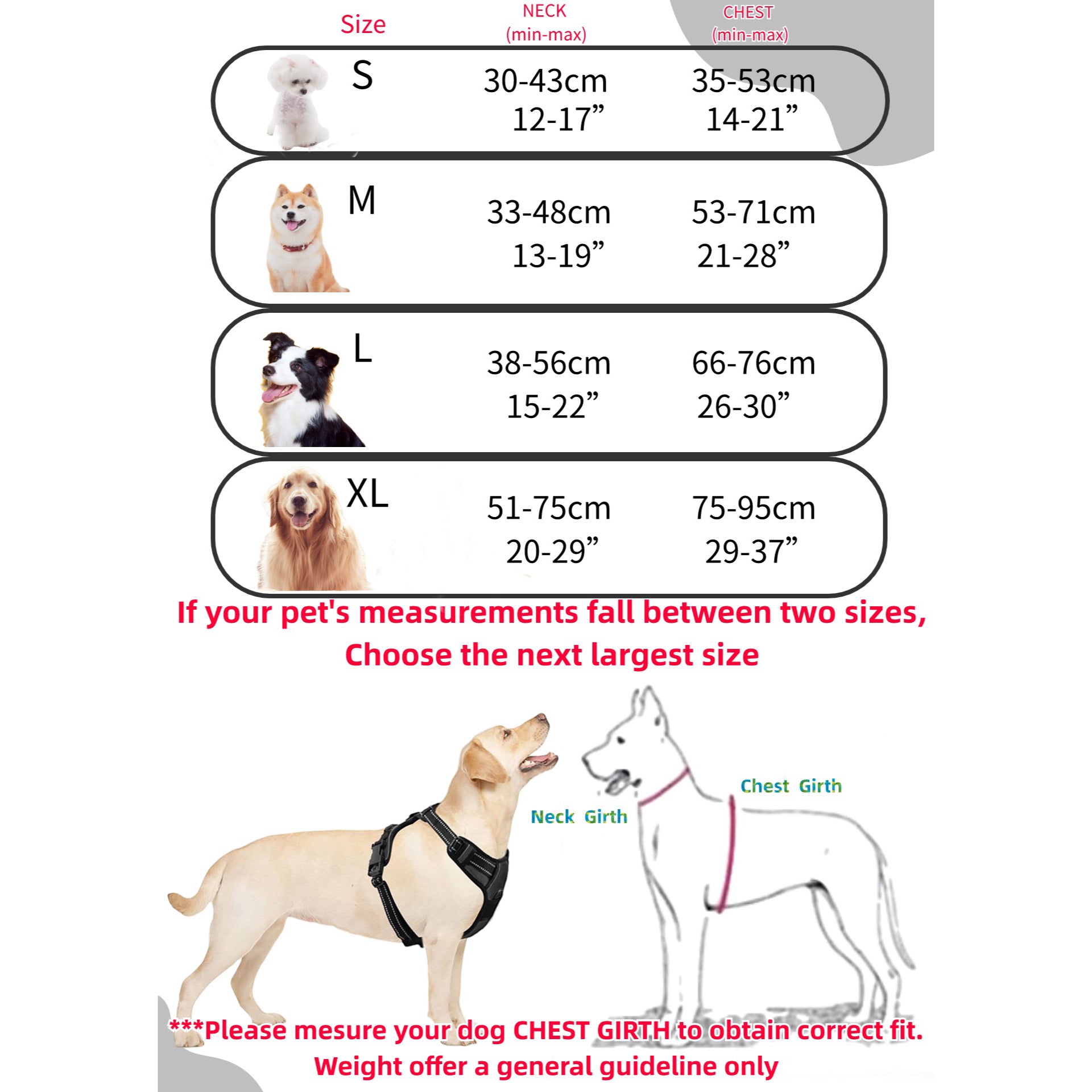 No-Pull Pet Harness with 2 Leash Clips