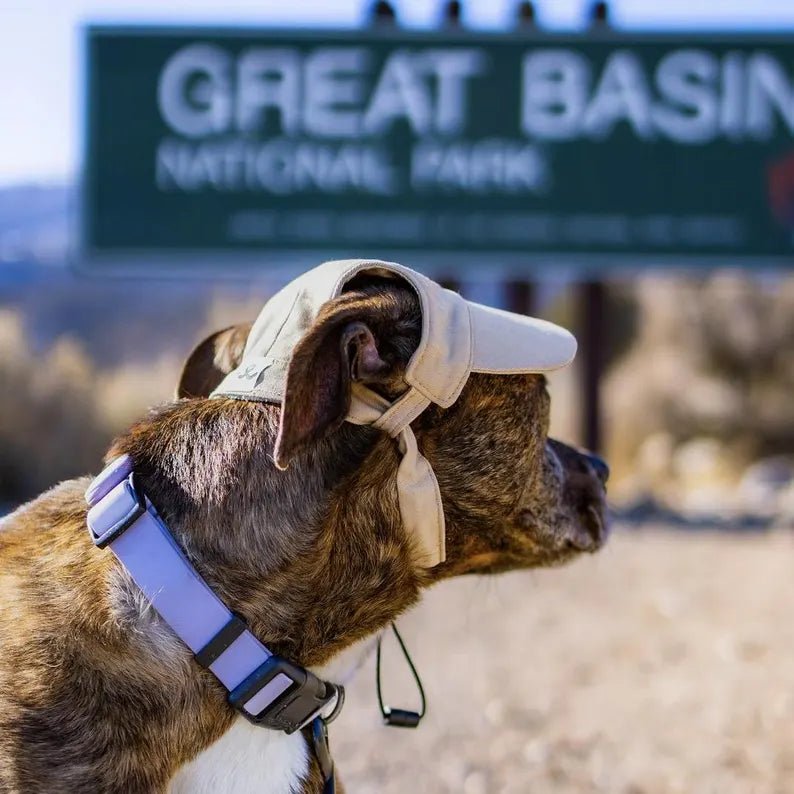 Customizable Adjustable Dog Hat with Patches