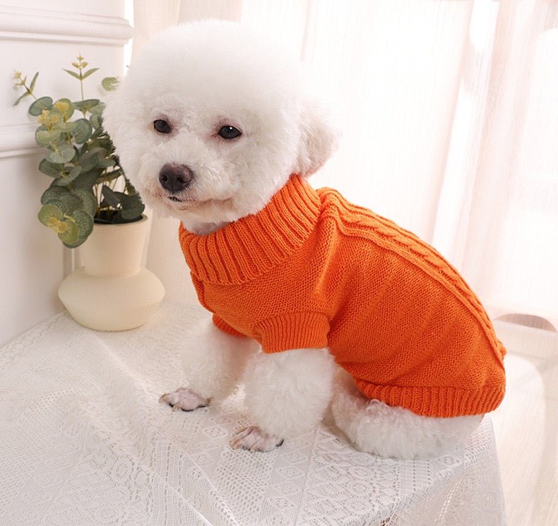 Dog Sweater video review preview
