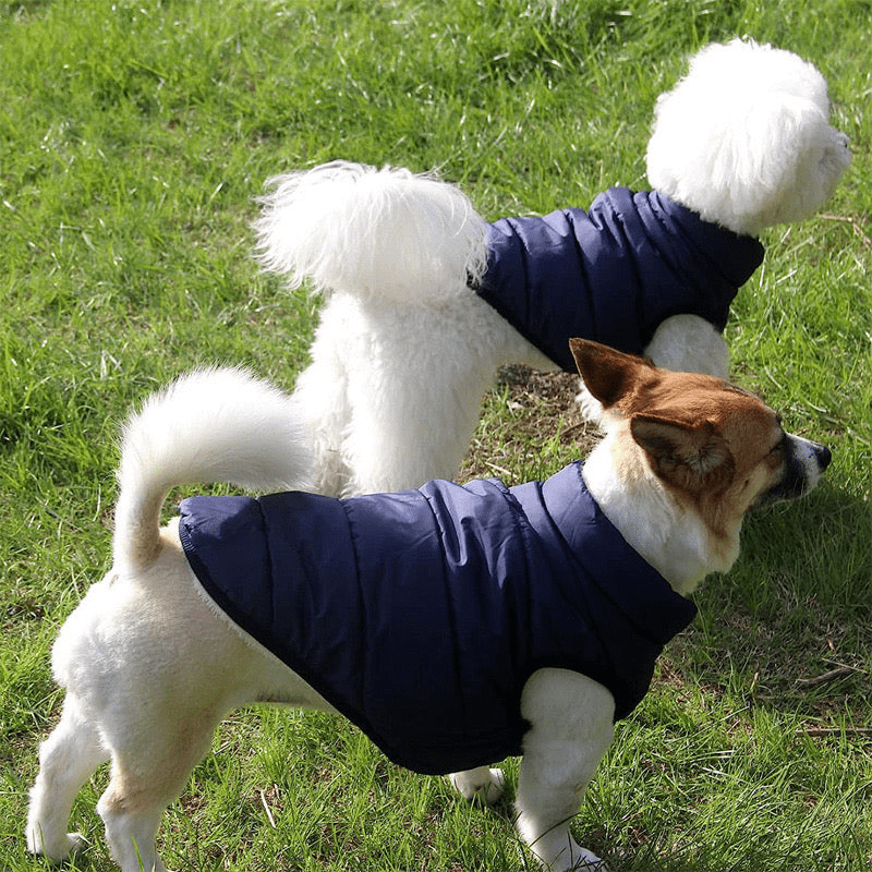 Windproof Dog Winter Coat video review preview