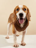 Load image into Gallery viewer, Windproof Dog Winter Coat
