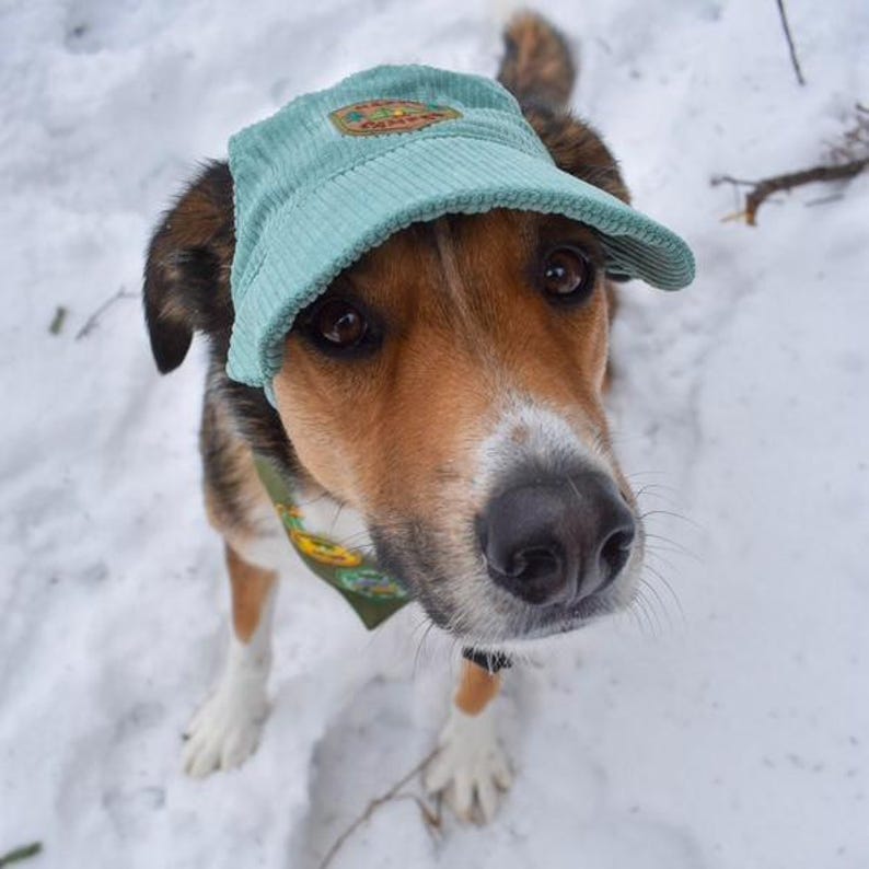Customizable Adjustable Dog Hat with Patches