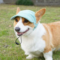 Load image into Gallery viewer, Customizable Adjustable Dog Hat with Patches
