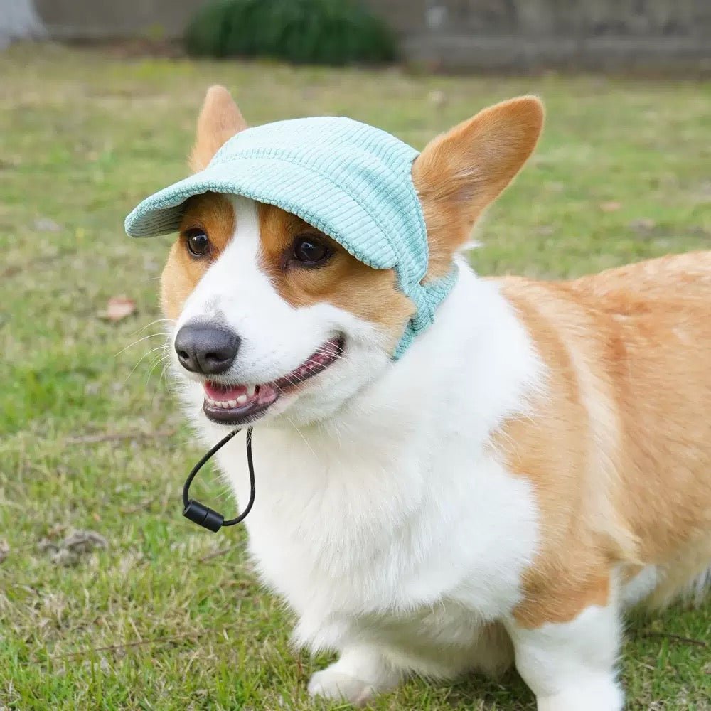 Customizable Adjustable Dog Hat with Patches