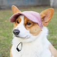 Load image into Gallery viewer, Customizable Adjustable Dog Hat with Patches
