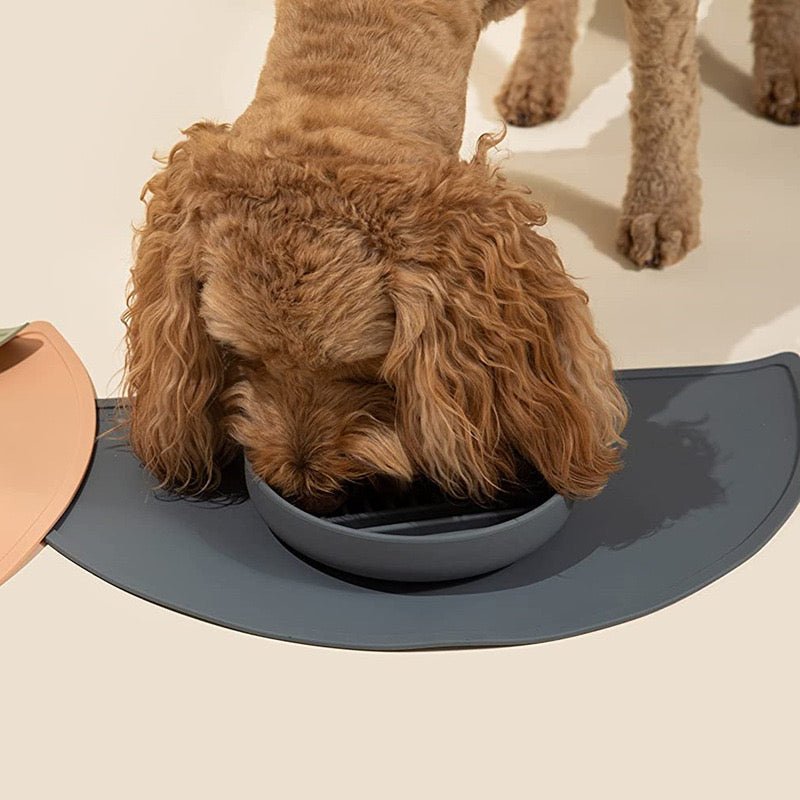 Slow Feeder Dog Bowl & Silicone Pet Food Mat Set video review preview