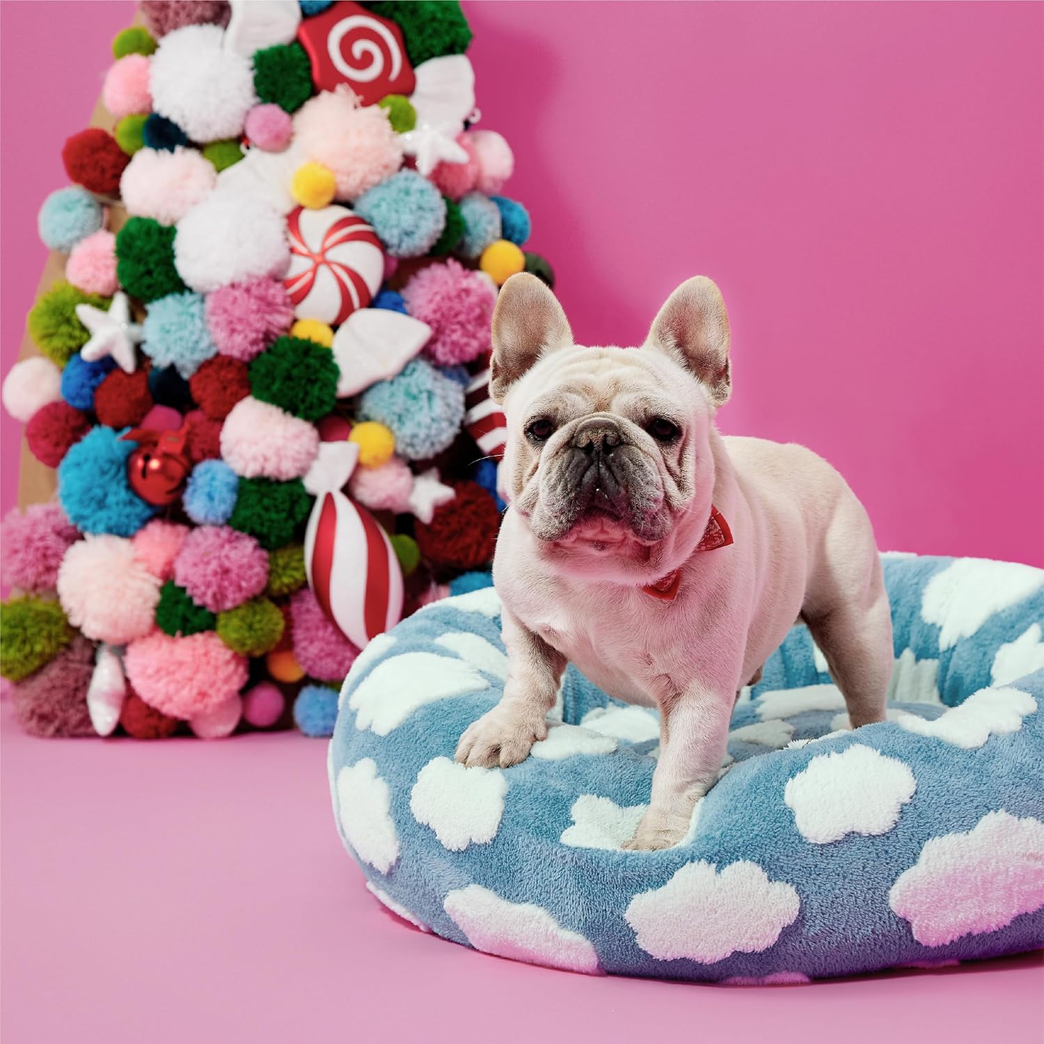 Donut Small Pet Bed