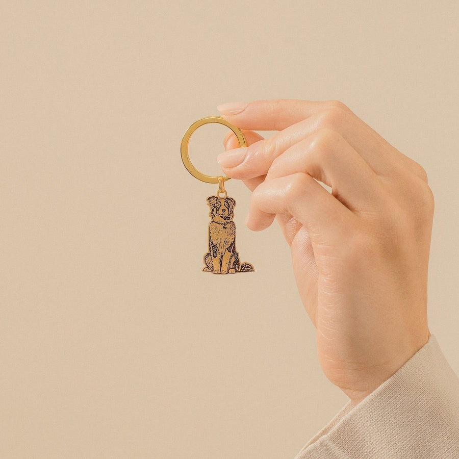 Engraved Pet Keychain video review preview