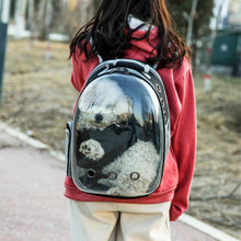 Front Expandable Space Capsule Bubble Window Pet Backpack