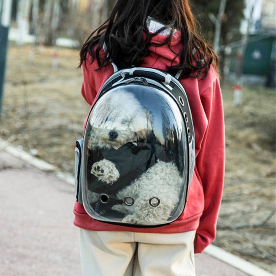 Front Expandable Space Capsule Bubble Window Pet Backpack video review preview