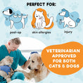 Load image into Gallery viewer, Protective Inflatable Collar for Dogs and Cats
