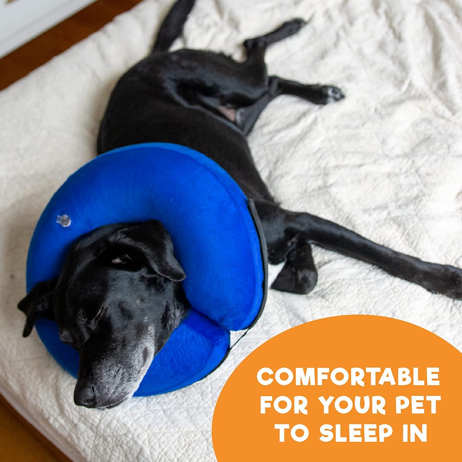 Protective Inflatable Collar for Dogs and Cats