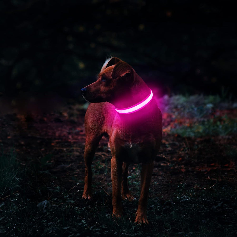 Rechargeable Glow LED Dog Collar video review preview