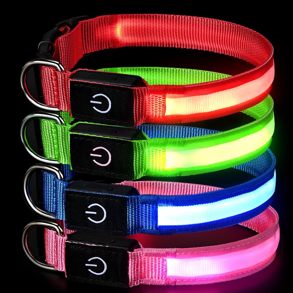 Rechargeable Glow LED Dog Collar