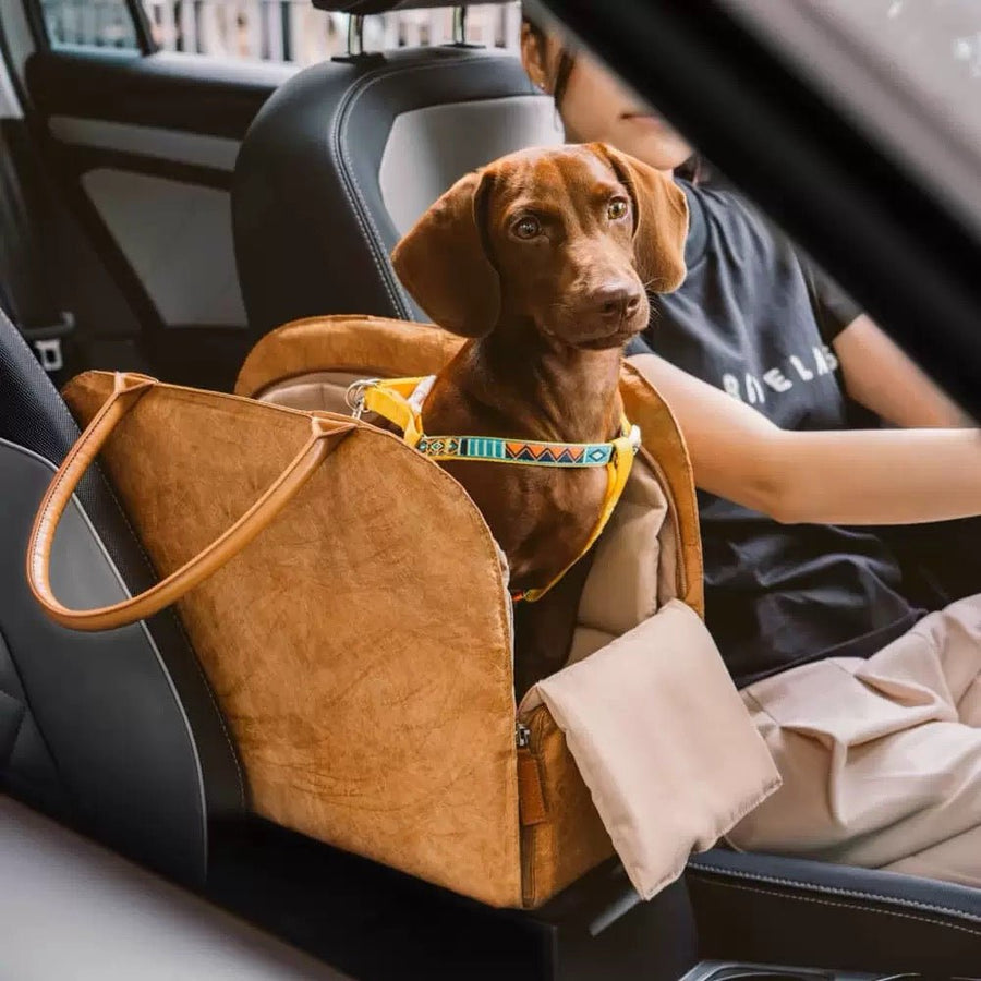 Eco-friendly Multi-functional Pet Travel Bag video review preview