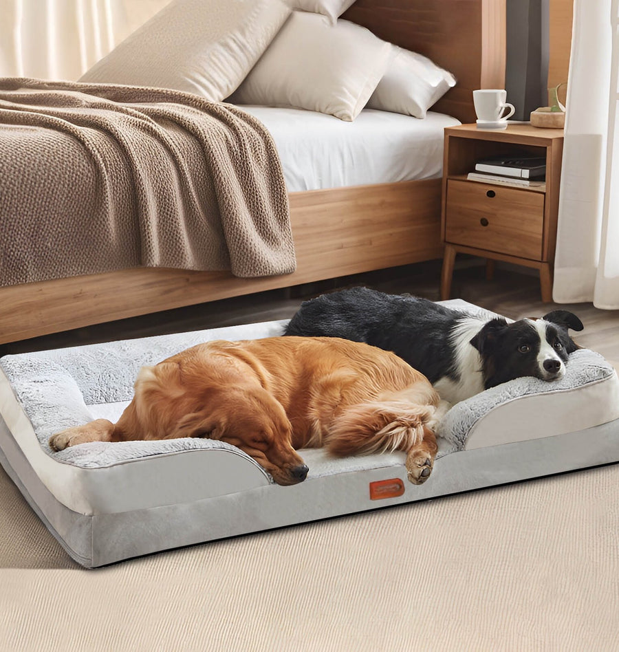 Orthopedic dog bed video review preview