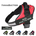 Load image into Gallery viewer, Personalized No-Pull Dog Harness with Name Patch
