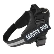 Personalized No-Pull Dog Harness with Name Patch