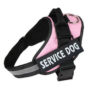 Personalized No-Pull Dog Harness with Name Patch