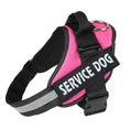 Load image into Gallery viewer, Personalized No-Pull Dog Harness with Name Patch
