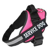 Personalized No-Pull Dog Harness with Name Patch