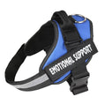 Load image into Gallery viewer, Personalized No-Pull Dog Harness with Name Patch
