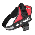Load image into Gallery viewer, Personalized No-Pull Dog Harness with Name Patch

