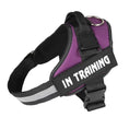 Load image into Gallery viewer, Personalized No-Pull Dog Harness with Name Patch
