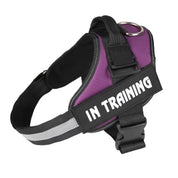 Personalized No-Pull Dog Harness with Name Patch