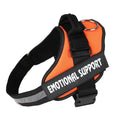 Load image into Gallery viewer, Personalized No-Pull Dog Harness with Name Patch
