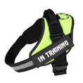 Load image into Gallery viewer, Personalized No-Pull Dog Harness with Name Patch
